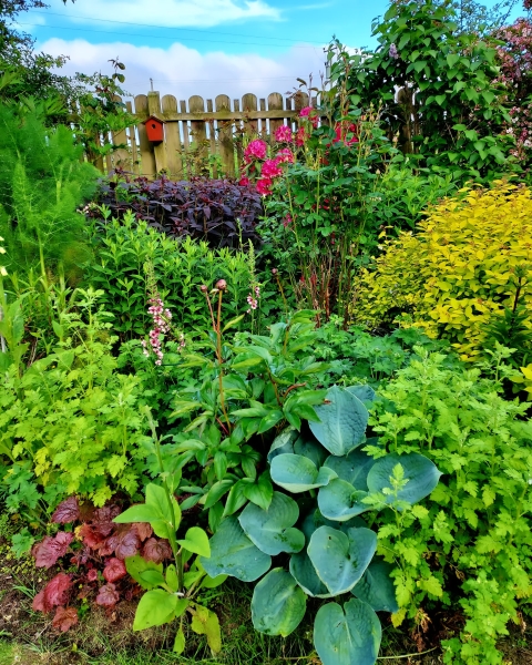 Iona Cottage Garden